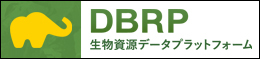 DBRP